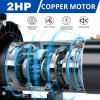 imageFOTING InAbove Ground Pool Pump Self Primming Dual Speed 2HP 31707000GPH 230V 15quot ampamp 2quot NPT Inlet Connectors2HP Dual Speed230V