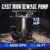 imageAquastrong Cast Iron Sewage Pump 12HP Effluent Pump 115V 6030 GPH Sump Pump with Auto Float Switch Ideal for Basement Sump Pits Industrial Wastewater  CommercialGrade Sewage System220V 6030GPH