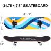 imageWhiteFang Skateboards for Beginners Complete Skateboard 31 x 788 7 Layer Canadian Maple Double Kick Concave Standard and Tricks Skateboards for Kids and BeginnersSkateLane