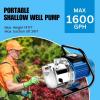 image:imageFOTING Shallow Well Pump Jet Pumps Garden Pump Water Transfer Draining Irrigation Pumps Water Booster Jet Pump Stainless Steel for Home Garden Lawn Farm 15HP wPressure Tank16HP 1600GPH