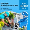 image:imageFOTING 16HP Shallow Well Pump with Pressure Tank 1700GPH Automatic Irrigation Water Booster Jet Pump Water Pumps Booster System 180FT for Home Garden Lawn Farm BlueBlue